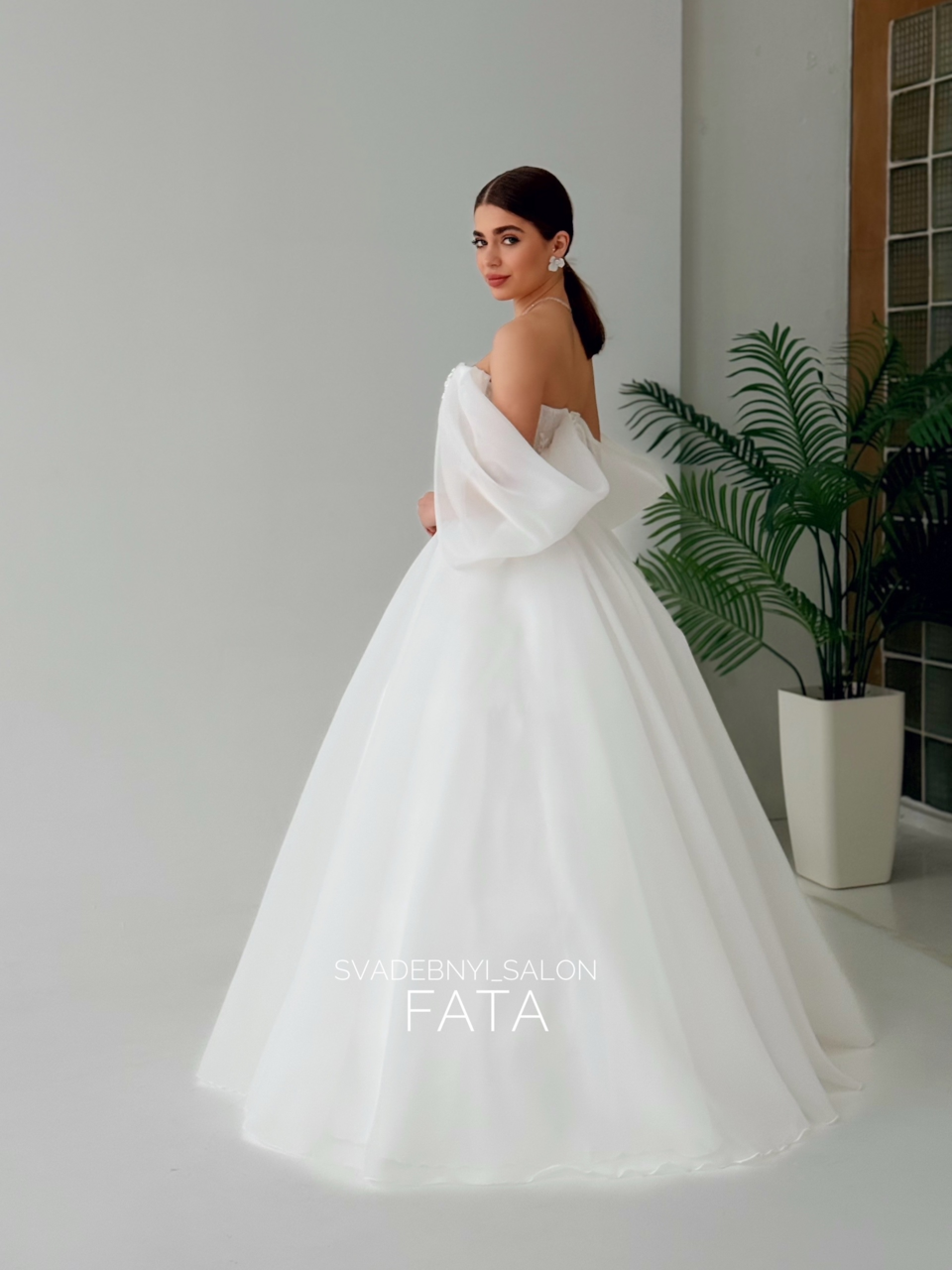 Органза. Теона